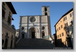 todi