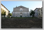 todi