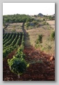 campagne des Pouilles