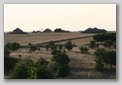 campagne des Pouilles