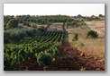 campagne des Pouilles