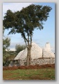 trulli in puglia