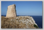 torre minervino