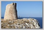 torre minervino