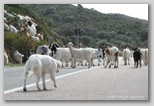 costa del sud sardaigne