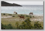 costa del sud sardaigne