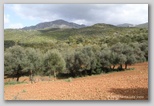 photo sardaigne