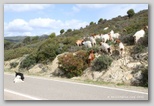costa del sud sardaigne