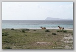 costa del sud sardaigne