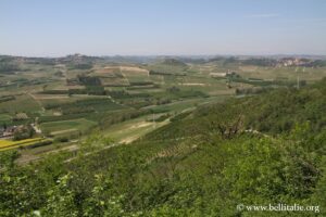 Photo du panorama depuis Magliano Alfieri, Roero