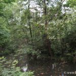 foto giardini-indro-montanelli-milano_7820