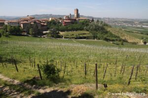 Photo de Barbaresco, Langhe