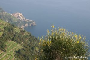 Cinque Terre