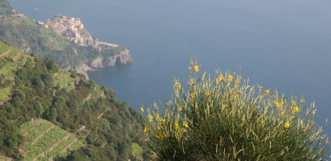 Photo des Cinque Terre