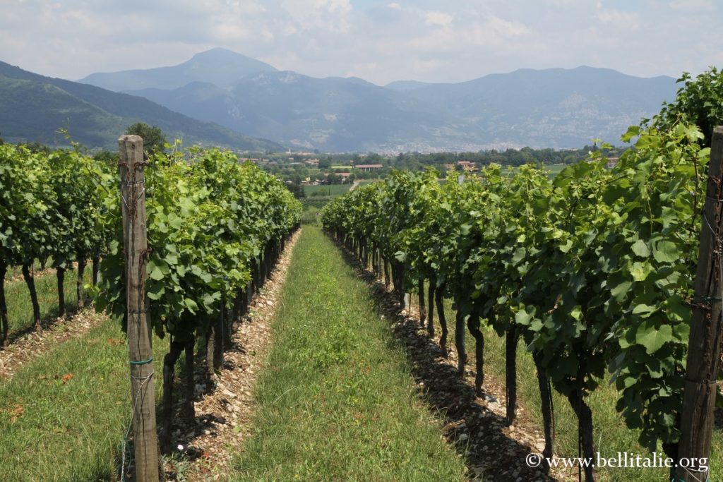 foto della franciacorta_9203