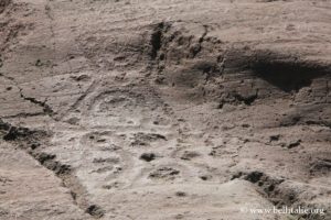 foto delle incizioni-parco-archeologico-di-luine_8754