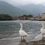 lago-di-mergozzo_6846