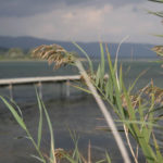 lago trasimene