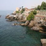 Nervi