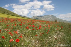 fotografie colline di umbria