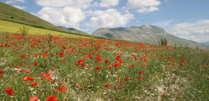 Ombrie, Umbria