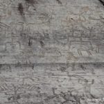 parc-national-des-gravures-rupestres-de-naquane-val-camonica_8564