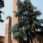 Torre medievali, Pavia