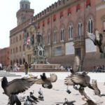 Piazza del Nettuno, Bologna