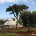 Trulli, Puglia