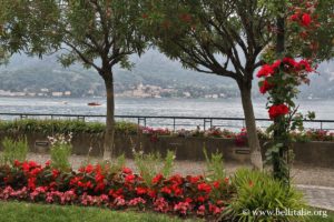 bellagio_8133