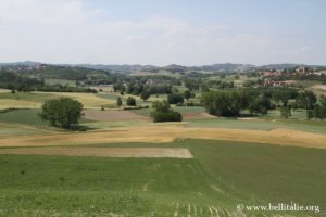 chiesa-dei-santi-nazario-e-celso-montechiaro-d-asti_6380