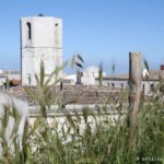 Monte Sant'Angelo, Gargano