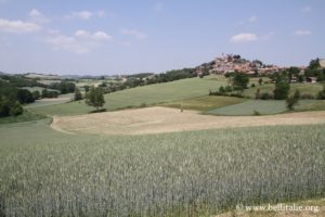 montiglio-monferrato_6356