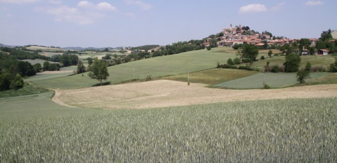 montiglio-monferrato_6356