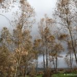 Paysages du sud de la Sardaigne