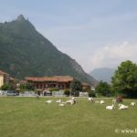 fotografie val-di-susa-sacra-di-san-michele_5348