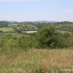 Colline Torinesi