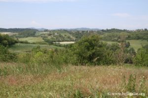 foto des collines turinoises