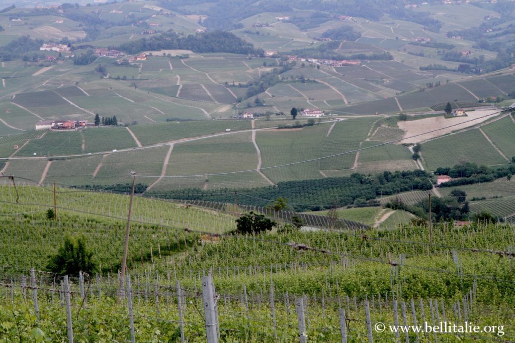 langhe_6278