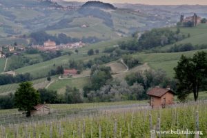 vista-barolo-monteforte-d-alba_6285