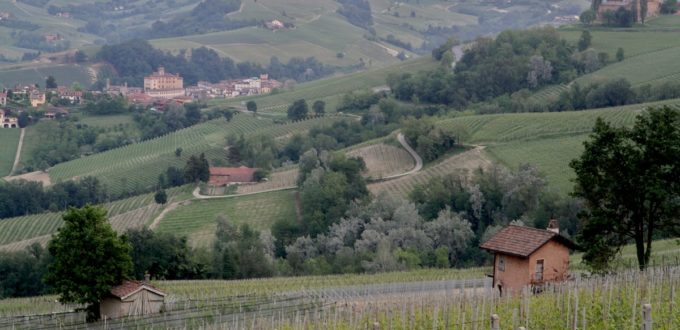 vista-barolo-monteforte-d-alba_6285