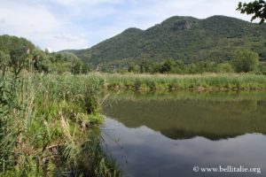 foto delle torbiere del sebino_9127