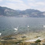 foto della costa del Lago di Garda, Malcesine-Brenzone_9766