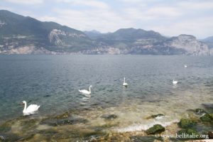 photo cote-lac-de-garde-malcesine-brenzone_9766