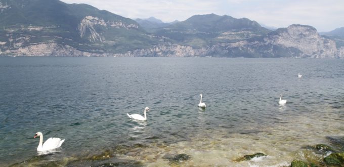 cote-lac-de-garde-malcesine-brenzone_9766