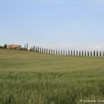 Tourisme en Toscane